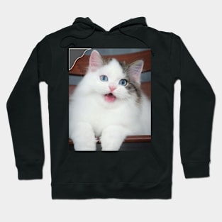 the blue eyes cats Hoodie